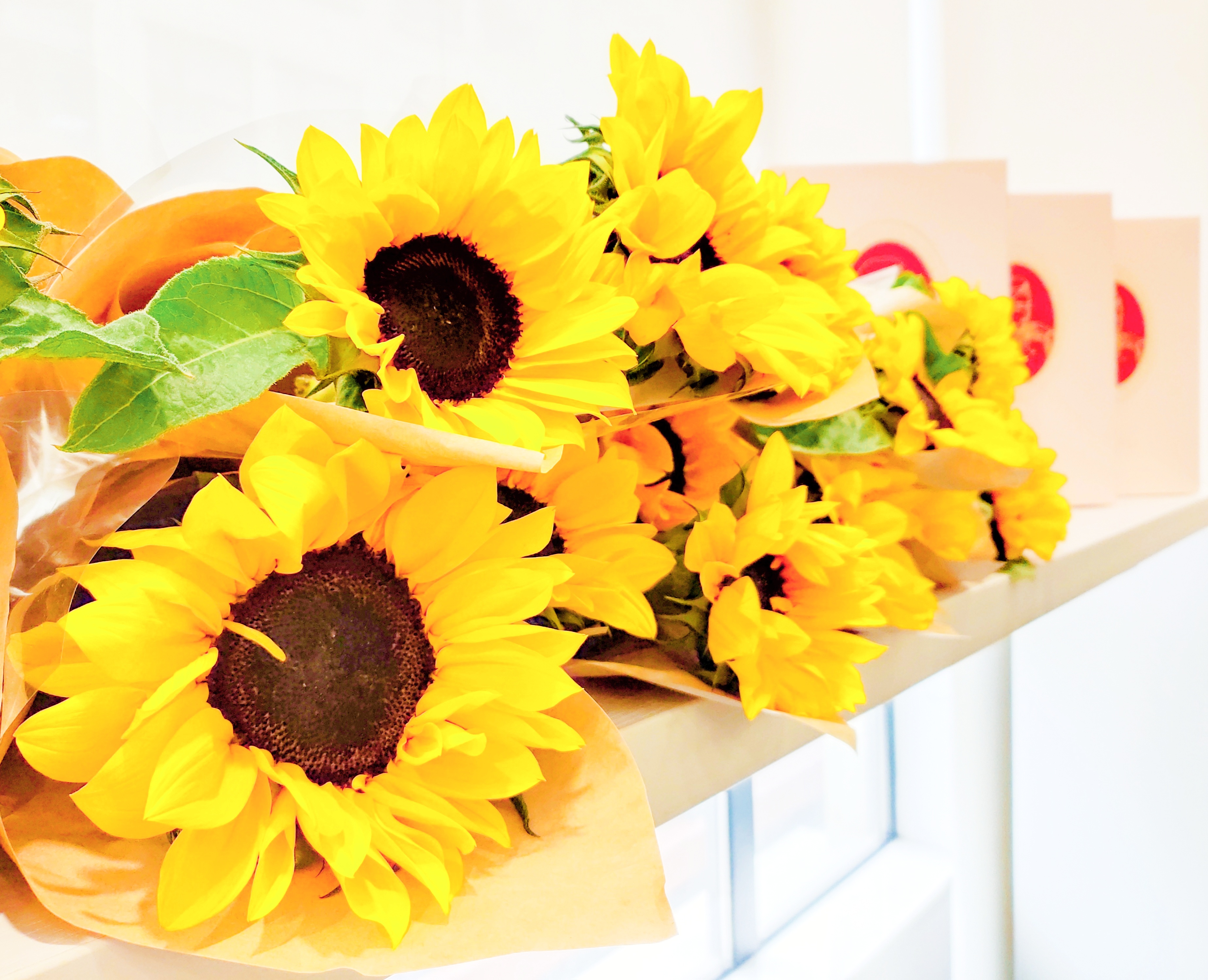 �й����ط�����(�ɷ�)���޹�˾-�ٷ���վ